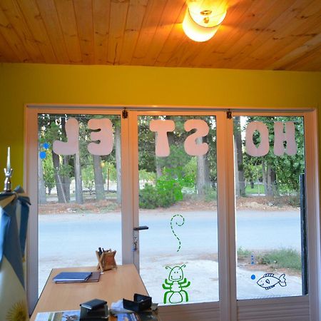 Hostel El Viajante Los Antiguos Ngoại thất bức ảnh